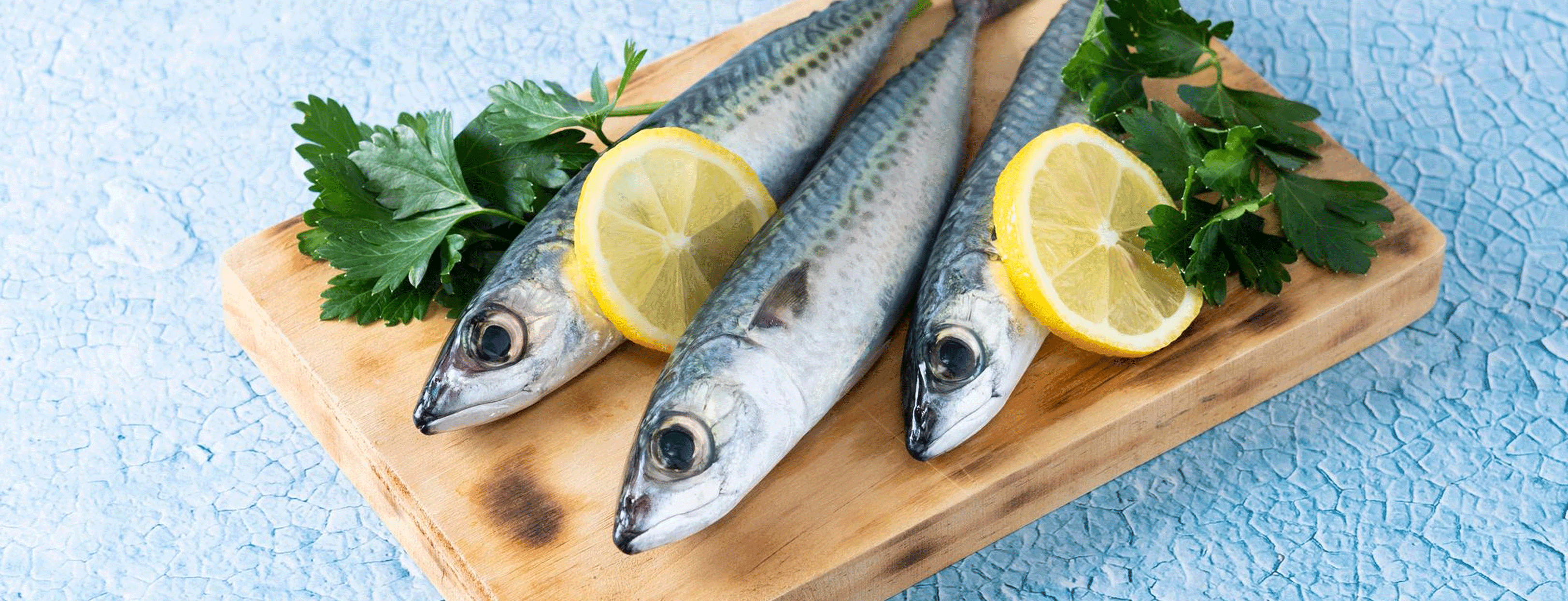 Mackerel