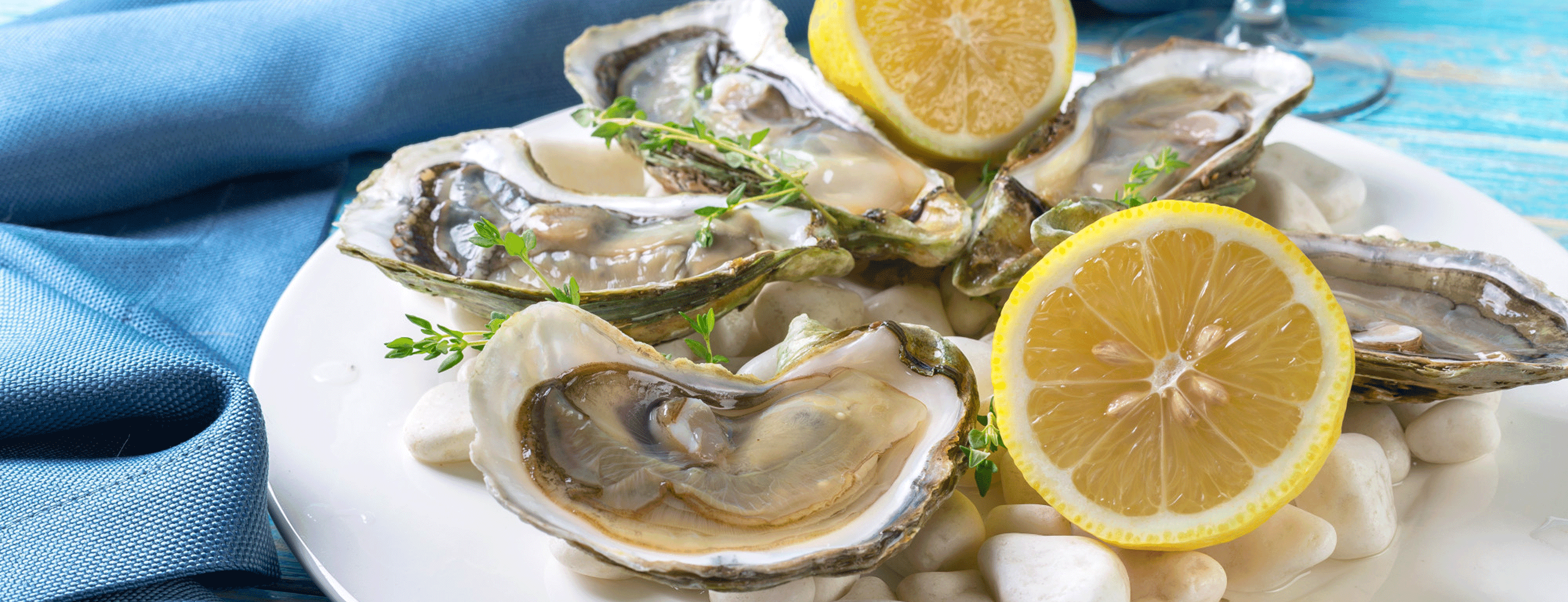 Oyster